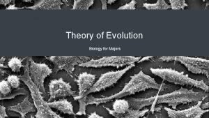 Theory of Evolution Biology for Majors Descent with