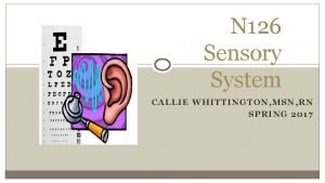 N 126 Sensory System CALLIE WHITTINGTON MSN RN