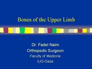 Supraglenoid tubercle