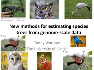 New methods for estimating species trees from genomescale