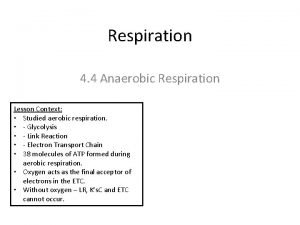 Respiration 4 4 Anaerobic Respiration Lesson Context Studied
