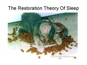 Repair and restoration theory of sleep