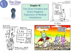 Chapter 18 The GramPositive and GramNegative Diplococci of