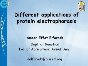 Different applications of protein electrophorasis Ameer Effat Elfarash