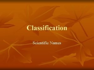 Classification Scientific Names Binomial Nomenclature n Two name