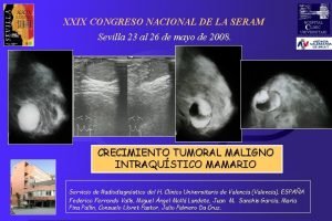 XXIX CONGRESO NACIONAL DE LA SERAM S V