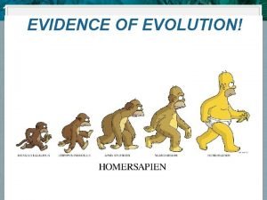 10 4 Evidence of Evolution EVIDENCE OF EVOLUTION