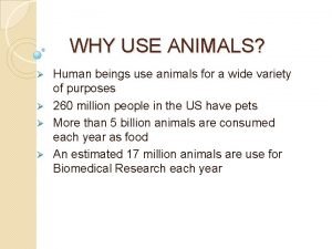 WHY USE ANIMALS Human beings use animals for