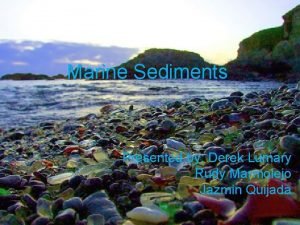 Biogenous sediment definition Biogenous sediment definition