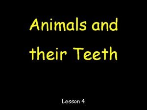 Animals and their teeth worksheets