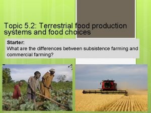 Terrestrial food production systems