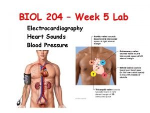 BIOL 204 Week 5 Lab Electrocardiography Heart Sounds