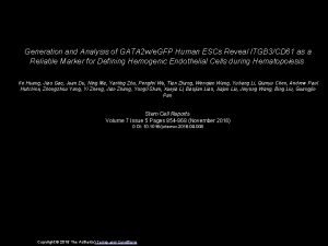 Generation and Analysis of GATA 2 we GFP