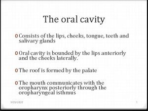The oral cavity 0 Consists of the lips