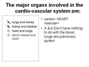 The major organs involved in the cardiovascular system