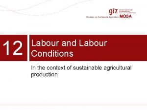 Modules on Sustainable Agriculture 12 MOSA Labour and