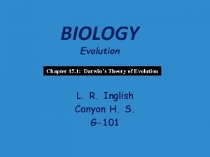 Homologous structures definition biology