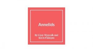 Annelids By Lizzy Wygonik and Kiera Flanigan Symmetry