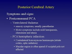 Posterior Cerebral Artery Symptoms and signs Postcommunal PCA
