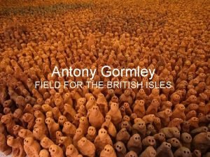 Antony gormley field