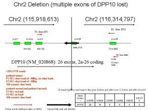 Chr 2 Deletion multiple exons of DPP 10