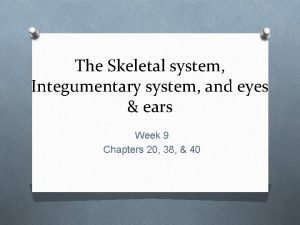 The Skeletal system Integumentary system and eyes ears