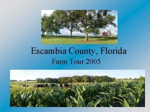 Escambia County Florida Farm Tour 2005 Escambia County