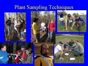 Plant Sampling Techniques Warning Lab lectures included on