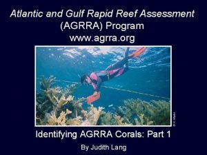K Marks Atlantic and Gulf Rapid Reef Assessment