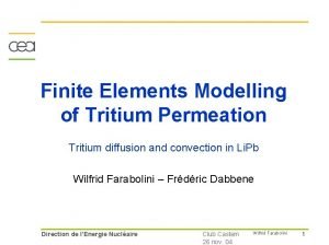 Finite Elements Modelling of Tritium Permeation Tritium diffusion