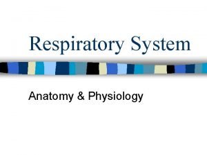 Conducting zone lungs