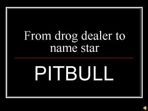 Pitbull dealer