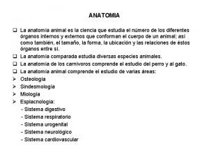 ANATOMIA q La anatoma animal es la ciencia