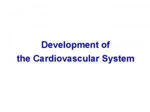 Primary interventricular foramen