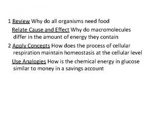 Why do all organisms need food
