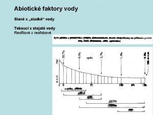 Abiotick faktory vody Slan x sladk vody Tekouc