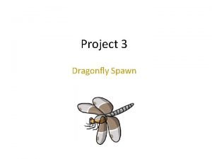 When does dragonfly spawn