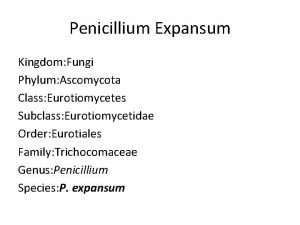 Penicillium Expansum Kingdom Fungi Phylum Ascomycota Class Eurotiomycetes