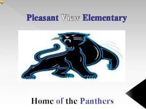 Pleasant view panthers