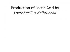 Production of Lactic Acid by Lactobacillus delbrueckii 1