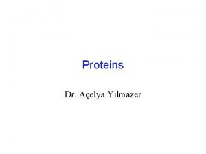 Proteins Dr Aelya Ylmazer Structure of Proteins Unlike