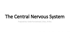 Classification of nervous system