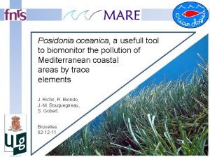 Posidonia oceanica a usefull tool to biomonitor the