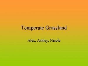 Temperate Grassland Alex Ashley Nicole Temperate Grassland A