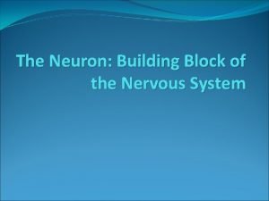Building block of the nervous system