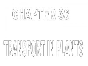 TRANSPORT OVERVIEW 3 LEVELS OF TRANSPORT OCCUR IN