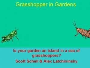 Grasshopper in Gardens Is your garden an island