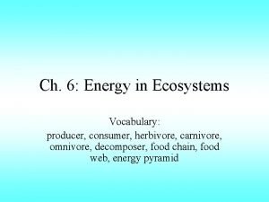 Ch 6 Energy in Ecosystems Vocabulary producer consumer