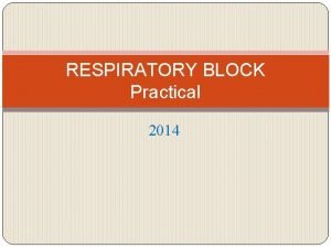 RESPIRATORY BLOCK Practical 2014 Streptococcus pyogenes Group A