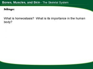 Bones Muscles and Skin The Skeletal System Bellringer